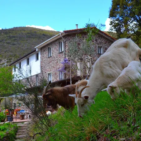 Hillside Retreat Near 5 Terre