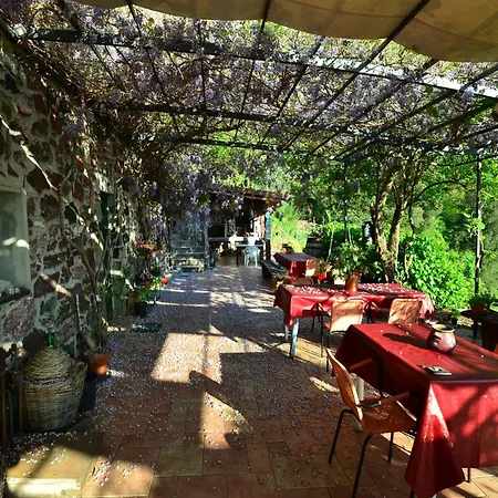 Hillside Retreat Near 5 Terre *