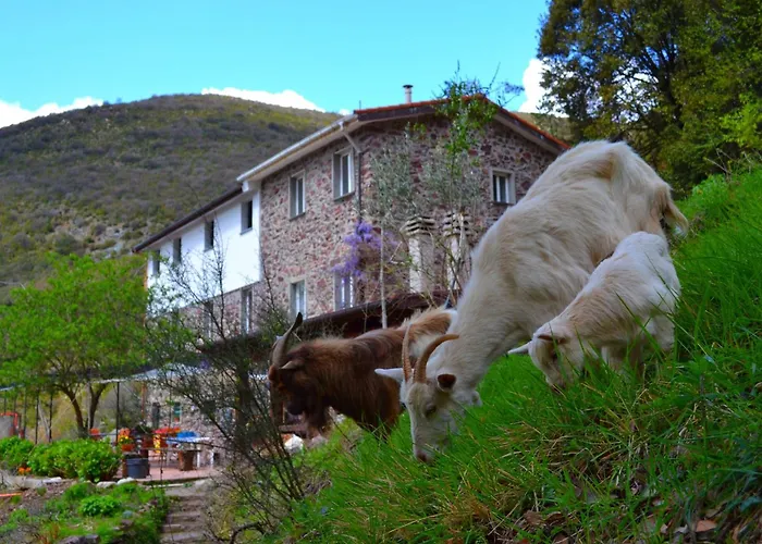 Hillside Retreat Near 5 Terre