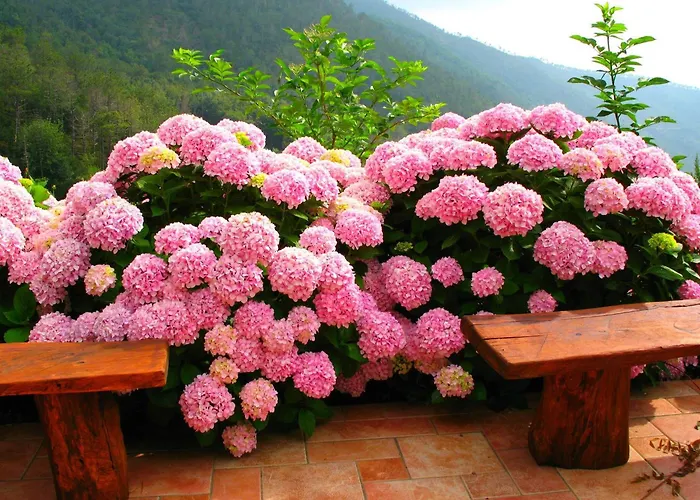 Hillside Retreat Near 5 Terre *