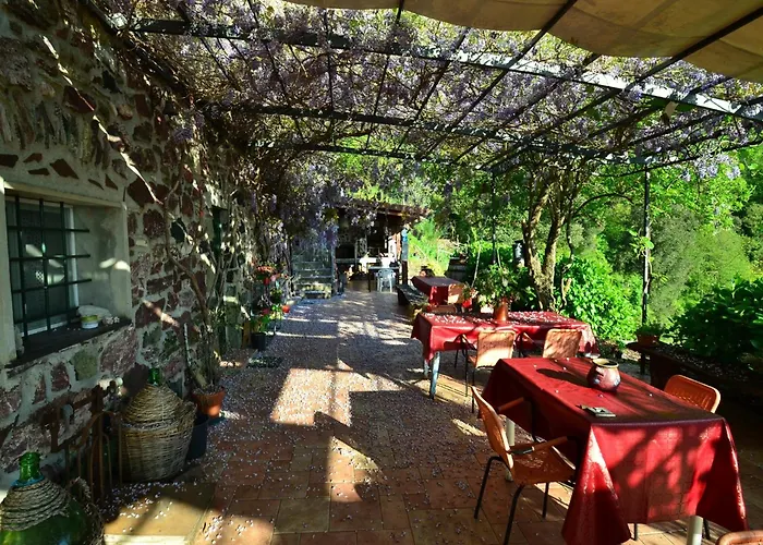 Hillside Retreat Near 5 Terre *